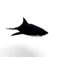 shark cartoon