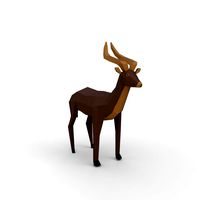 antelope