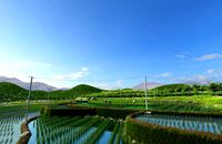 farmland