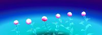 peony flower
