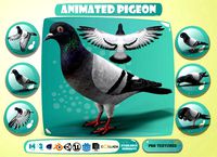 realistic animated rock pigeon low-poly