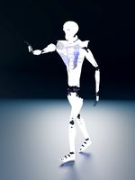 rob