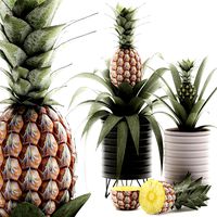 decorative pineapple in a pot for the interior 538