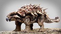 ankylosaurus rigged
