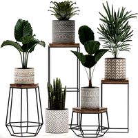 decorative plants in pots on a stand for the interior 528
