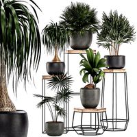 decorative plants in pots on a stand for the interior 525