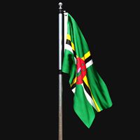 Flag of dominica 02
