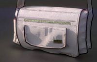 handbag leather