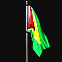 Flag of guyana 02