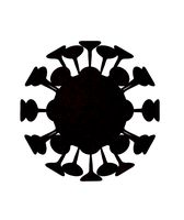 coronavirus covid19