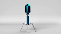 bacteriophage