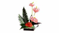 artificial anthurium composition 01