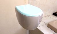 toilet