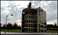 building with tree