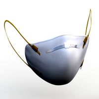 protective mask