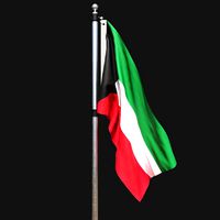 Flag of kuwait 02