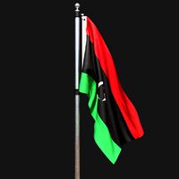Flag of libya 02