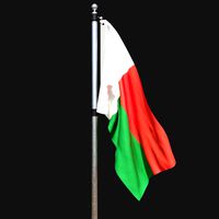 Flag of madagascar 02