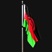 Flag of malawi 02