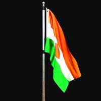 Flag of niger 02