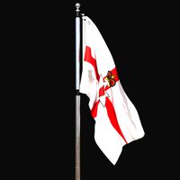 Flag of northern ireland 02