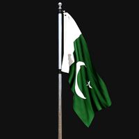 Flag of pakistan 02