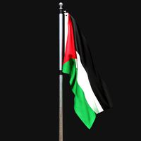Flag of palestine 02
