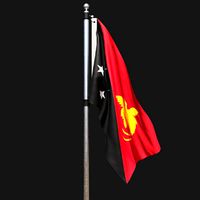 Flag of papua new guinea 02