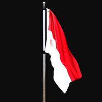 Flag of monaco 02