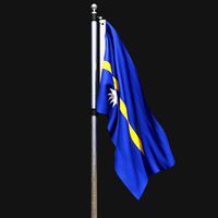 Flag of nauru 02
