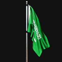 Flag of saudi arabia 02