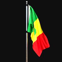 Flag of senegal 02