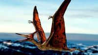 pteranodon animated rigged