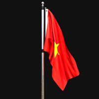 Flag of vietnam 02