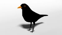 low poly cartoon blackbird