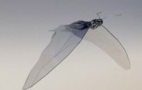 diamond butterfly