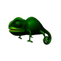 chameleon cartoon
