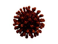 coronavirus disease 19