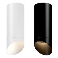 20148x rullo lightstar ceiling lamp with nozzle