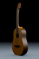 simple acoustic guitar