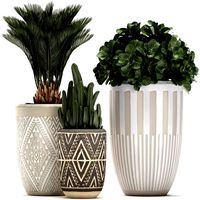 decorative plants in flower pots for the interior 476