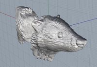 badger
