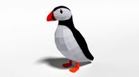 low poly cartoon puffin