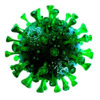 coronavirus sars-cov-2 - green