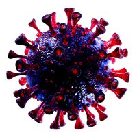 coronavirus sars-cov-2 - violet