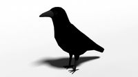 low poly cartoon crow