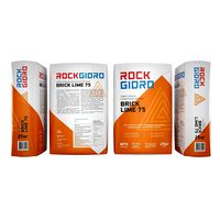 bag of cement