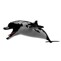 dolphin sculpt