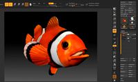 clown fish