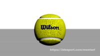 tennis ball wilson